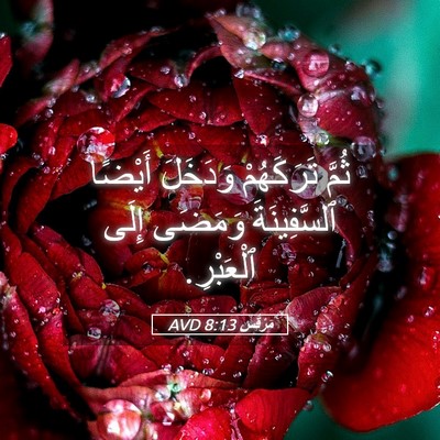 Picture 05 - مَرْقُس 8:13 AVD - ثُمَّ تَرَكَهُمْ وَدَخَلَ - Bible Verse Picture