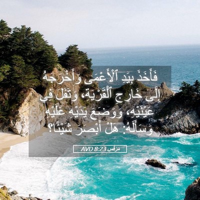 Picture 05 - مَرْقُس 8:23 AVD - فَأَخَذَ بِيَدِ - Bible Verse Picture