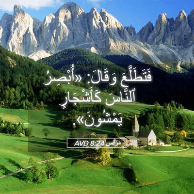 Picture 05 - مَرْقُس 8:24 AVD - فَتَطَلَّعَ وَقَالَ: - Bible Verse Picture