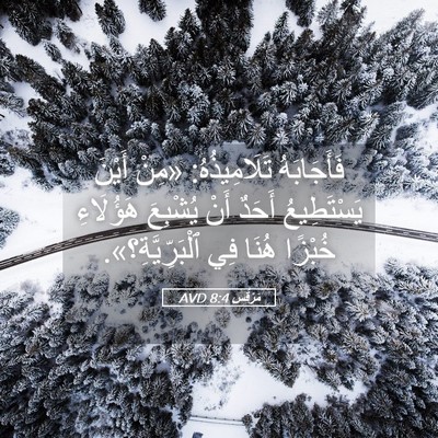 Picture 05 - مَرْقُس 8:4 AVD - فَأَجَابَهُ تَلَامِيذُهُ: - Bible Verse Picture
