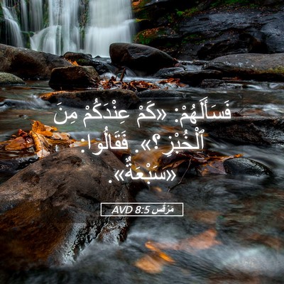 Picture 05 - مَرْقُس 8:5 AVD - فَسَأَلَهُمْ: «كَمْ - Bible Verse Picture