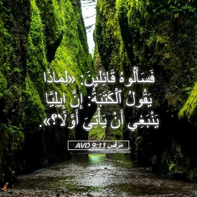 Picture 05 - مَرْقُس 9:11 AVD - فَسَأَلُوهُ قَائِليِنَ: - Bible Verse Picture