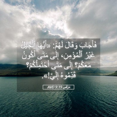 Picture 05 - مَرْقُس 9:19 AVD - فَأَجَابَ وَقَالَ لَهُمْ: - Bible Verse Picture