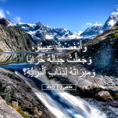 Picture 05 - مَلَاخِي 1:3 AVD - وَأَبْغَضْتُ عِيسُوَ، - Bible Verse Picture