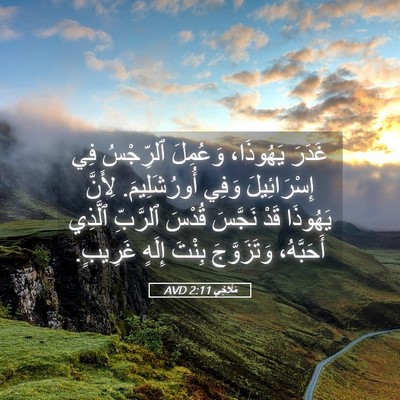 Picture 05 - مَلَاخِي 2:11 AVD - غَدَرَ يَهُوذَا، وَعُمِلَ - Bible Verse Picture