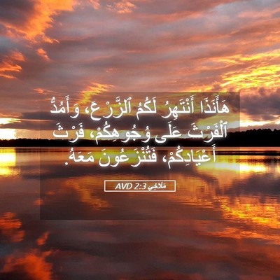Picture 05 - مَلَاخِي 2:3 AVD - هَأَنَذَا أَنْتَهِرُ - Bible Verse Picture