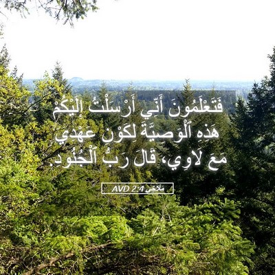 Picture 05 - مَلَاخِي 2:4 AVD - فَتَعْلَمُونَ أَنِّي - Bible Verse Picture