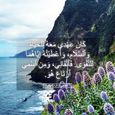 Picture 05 - مَلَاخِي 2:5 AVD - كَانَ عَهْدِي مَعَهُ - Bible Verse Picture
