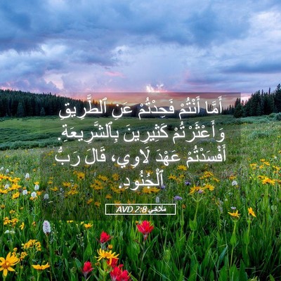 Picture 05 - مَلَاخِي 2:8 AVD - أَمَّا أَنْتُمْ - Bible Verse Picture