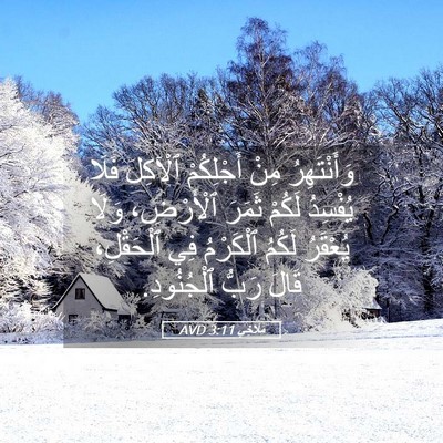 Picture 05 - مَلَاخِي 3:11 AVD - وَأَنْتَهِرُ مِنْ - Bible Verse Picture