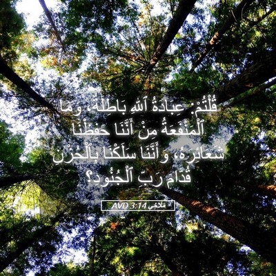 Picture 05 - مَلَاخِي 3:14 AVD - قُلْتُمْ: عِبَادَةُ ٱللهِ - Bible Verse Picture