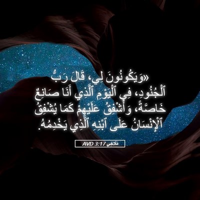 Picture 05 - مَلَاخِي 3:17 AVD - «وَيَكُونُونَ لِي، قَالَ - Bible Verse Picture