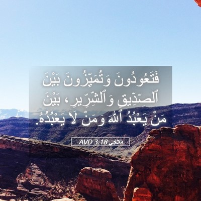 Picture 05 - مَلَاخِي 3:18 AVD - فَتَعُودُونَ - Bible Verse Picture