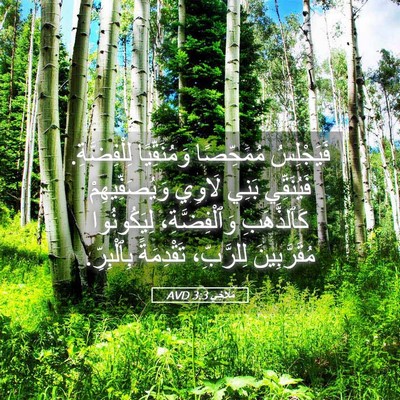 Picture 05 - مَلَاخِي 3:3 AVD - فَيَجْلِسُ مُمَحِّصًا - Bible Verse Picture
