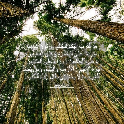 Picture 05 - مَلَاخِي 3:5 AVD - «وَأَقْتَرِبُ إِلَيْكُمْ - Bible Verse Picture