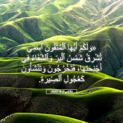 Picture 05 - مَلَاخِي 4:2 AVD - «وَلَكُمْ أَيُّهَا - Bible Verse Picture