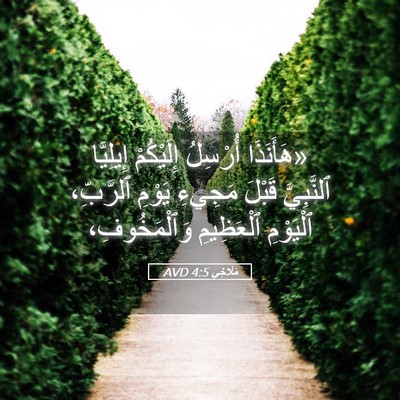 Picture 05 - مَلَاخِي 4:5 AVD - «هَأَنَذَا أُرْسِلُ - Bible Verse Picture