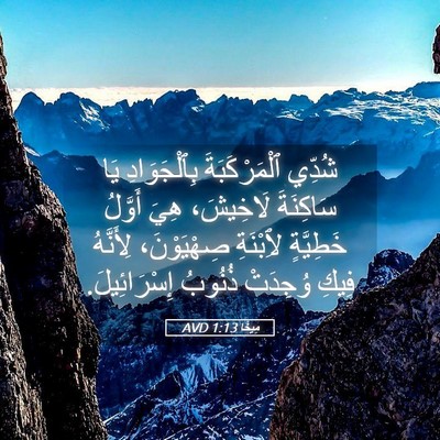 Picture 05 - مِيخَا 1:13 AVD - شُدِّي ٱلْمَرْكَبَةَ - Bible Verse Picture