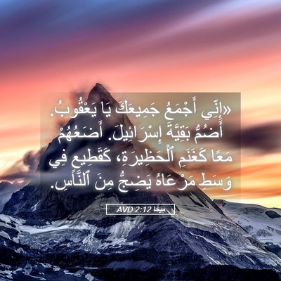 Picture 05 - مِيخَا 2:12 AVD - «إِنِّي أَجْمَعُ - Bible Verse Picture
