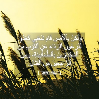 Picture 05 - مِيخَا 2:8 AVD - وَلَكِنْ بِٱلْأَمْسِ - Bible Verse Picture