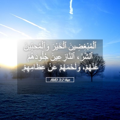 Picture 05 - مِيخَا 3:2 AVD - ٱلْمُبْغِضِينَ ٱلْخَيْرَ - Bible Verse Picture