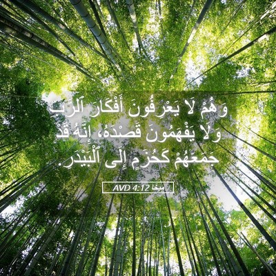Picture 05 - مِيخَا 4:12 AVD - وَهُمْ لَا يَعْرِفُونَ - Bible Verse Picture