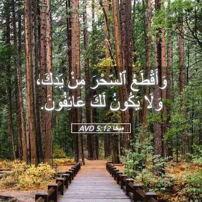 Picture 05 - مِيخَا 5:12 AVD - وَأَقْطَعُ ٱلسِّحْرَ مِنْ - Bible Verse Picture