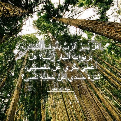 Picture 05 - مِيخَا 6:7 AVD - هَلْ يُسَرُّ ٱلرَّبُّ - Bible Verse Picture
