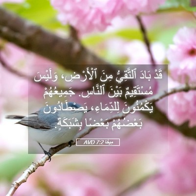 Picture 05 - مِيخَا 7:2 AVD - قَدْ بَادَ ٱلتَّقِيُّ مِنَ - Bible Verse Picture