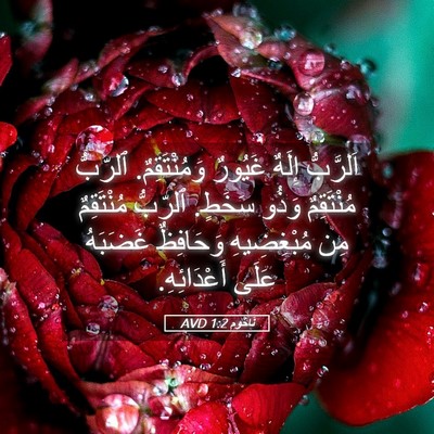 Picture 05 - نَاحُوم 1:2 AVD - اَلرَّبُّ إِلَهٌ غَيُورٌ - Bible Verse Picture