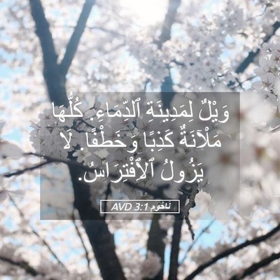 Picture 05 - نَاحُوم 3:1 AVD - وَيْلٌ لِمَدِينَةِ - Bible Verse Picture