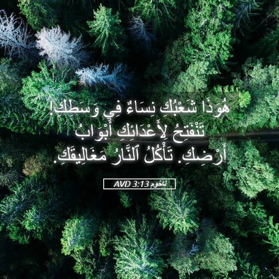 Picture 05 - نَاحُوم 3:13 AVD - هُوَذَا شَعْبُكِ نِسَاءٌ - Bible Verse Picture