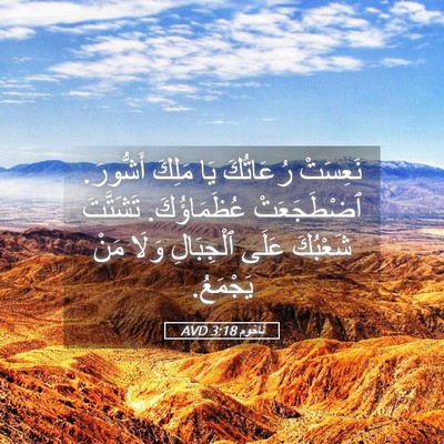 Picture 05 - نَاحُوم 3:18 AVD - نَعِسَتْ رُعَاتُكَ يَا - Bible Verse Picture