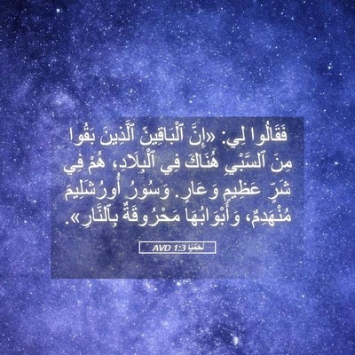 Picture 05 - نَحَمْيَا 1:3 AVD - فَقَالُوا لِي: «إِنَّ - Bible Verse Picture