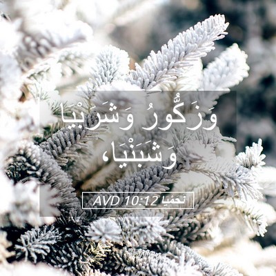 Picture 05 - نَحَمْيَا 10:12 AVD - وَزَكُّورُ وَشَرَبْيَا - Bible Verse Picture