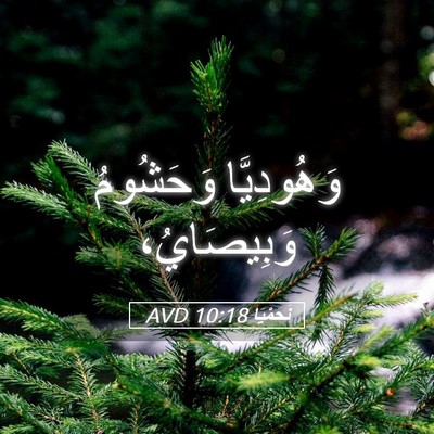 Picture 05 - نَحَمْيَا 10:18 AVD - وَهُودِيَّا وَحَشُومُ - Bible Verse Picture