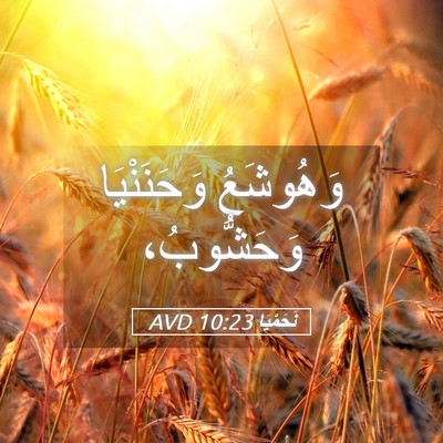 Picture 05 - نَحَمْيَا 10:23 AVD - وَهُوشَعُ وَحَنَنْيَا - Bible Verse Picture