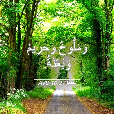 Picture 05 - نَحَمْيَا 10:27 AVD - وَمَلُّوخُ وَحَرِيمُ - Bible Verse Picture