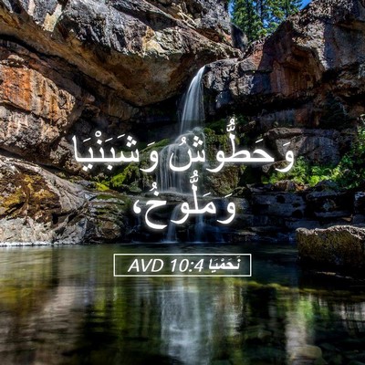 Picture 05 - نَحَمْيَا 10:4 AVD - وَحَطُّوشُ وَشَبَنْيَا - Bible Verse Picture