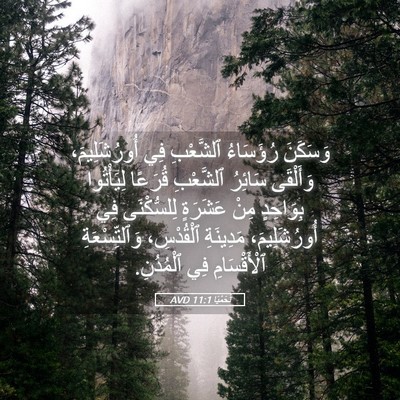 Picture 05 - نَحَمْيَا 11:1 AVD - وَسَكَنَ رُؤَسَاءُ - Bible Verse Picture