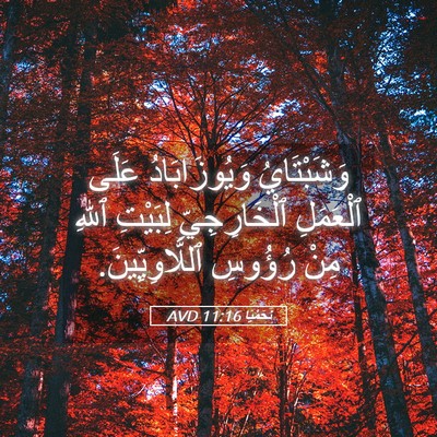Picture 05 - نَحَمْيَا 11:16 AVD - وَشَبْتَايُ وَيُوزَابَادُ - Bible Verse Picture