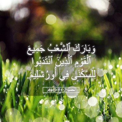 Picture 05 - نَحَمْيَا 11:2 AVD - وَبَارَكَ ٱلشَّعْبُ - Bible Verse Picture