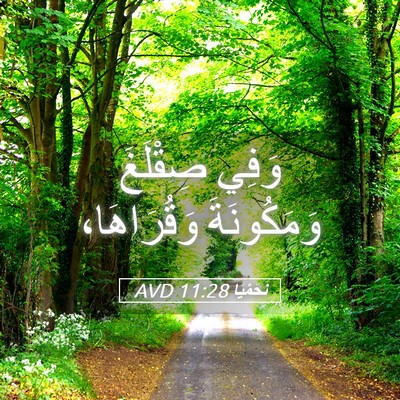 Picture 05 - نَحَمْيَا 11:28 AVD - وَفِي صِقْلَغَ - Bible Verse Picture