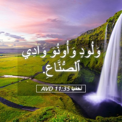 Picture 05 - نَحَمْيَا 11:35 AVD - وَلُودٍ وَأُونُوَ وَادِي - Bible Verse Picture
