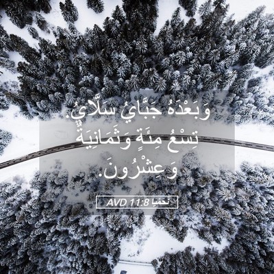 Picture 05 - نَحَمْيَا 11:8 AVD - وَبَعْدَهُ جَبَّايُ - Bible Verse Picture