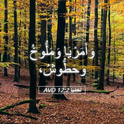 Picture 05 - نَحَمْيَا 12:2 AVD - وَأَمَرْيَا وَمَلُّوخُ - Bible Verse Picture