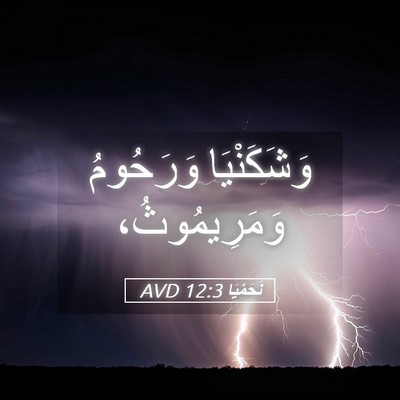 Picture 05 - نَحَمْيَا 12:3 AVD - وَشَكَنْيَا وَرَحُومُ - Bible Verse Picture