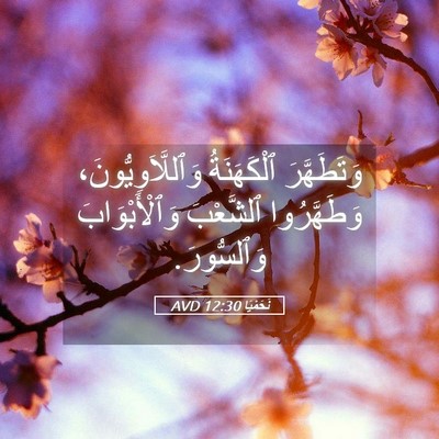 Picture 05 - نَحَمْيَا 12:30 AVD - وَتَطَهَّرَ ٱلْكَهَنَةُ - Bible Verse Picture