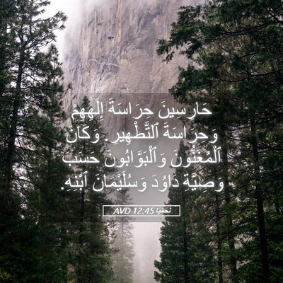 Picture 05 - نَحَمْيَا 12:45 AVD - حَارِسِينَ حِرَاسَةَ - Bible Verse Picture