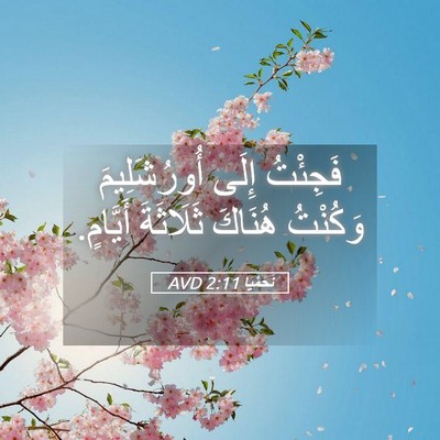 Picture 05 - نَحَمْيَا 2:11 AVD - فَجِئْتُ إِلَى - Bible Verse Picture
